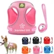 Reflective Breathable Dog Harness | https://www.bestnamebadges.com