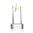 Fanshaw Gold Star Award on Base - Clear | https://www.bestnamebadges.com