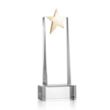 Fanshaw Gold Star Award on Base - Clear | https://www.bestnamebadges.com