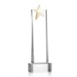 Fanshaw Gold Star Award on Base - Clear | https://www.bestnamebadges.com