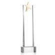 Fanshaw Gold Star Award on Base - Clear | https://www.bestnamebadges.com