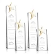 Fanshaw Gold Star Award | https://www.bestnamebadges.com