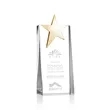 Fanshaw Gold Star Award | https://www.bestnamebadges.com