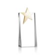 Fanshaw Gold Star Award | https://www.bestnamebadges.com