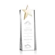 Fanshaw Gold Star Award | https://www.bestnamebadges.com