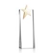 Fanshaw Gold Star Award | https://www.bestnamebadges.com