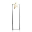 Fanshaw Gold Star Award | https://www.bestnamebadges.com