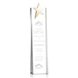 Fanshaw Gold Star Award | https://www.bestnamebadges.com