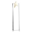 Fanshaw Gold Star Award | https://www.bestnamebadges.com
