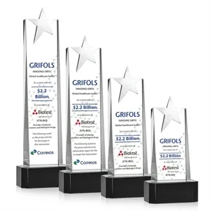 Fanshaw Silver Star VividPrint™ Award On Base - Black | https://www.bestnamebadges.com