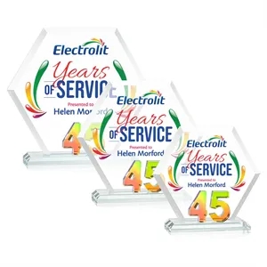 Riviera Anniversary VividPrint™ Award No 45 - Prismatic | https://www.bestnamebadges.com