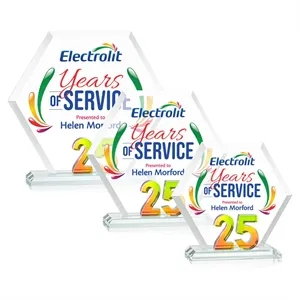 Riviera Anniversary VividPrint™ Award No 25 - Prismatic | https://www.bestnamebadges.com