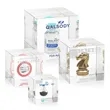 Embedment - Cube Award | https://www.bestnamebadges.com