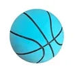 High Bounce Mini Basketball | https://www.bestnamebadges.com