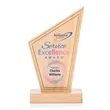 Dunham VividPrint™ Award | https://www.bestnamebadges.com