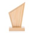 Dunham Award | https://www.bestnamebadges.com