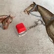 Stress Relief Magic Button Keychain | https://www.bestnamebadges.com