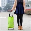 Folding Shopping Bag With Wheels | https://www.bestnamebadges.com