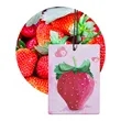 Personalized Car Air Freshener Cards | https://www.bestnamebadges.com
