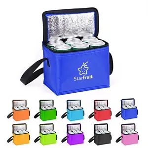 6 Can Non Woven Insulated Cooler Lunch Bag