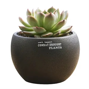Mini Desktop Succulent Plant Flowerpot