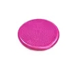 Wobble Cushion Balance Disc Stability Trainer | https://www.bestnamebadges.com