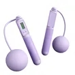 Jump Rope Adult Shaping Weight Loss Ball Weighted | https://www.bestnamebadges.com
