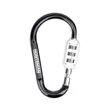 SecureLink Large Carabiner Keychain | https://www.bestnamebadges.com