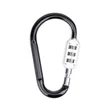 SecureLink Large Carabiner Keychain | https://www.bestnamebadges.com