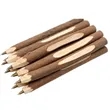 Pine Branch Ballpoint Pen | https://www.bestnamebadges.com
