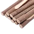 Pine Branch Ballpoint Pen | https://www.bestnamebadges.com