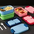Large Capacity Bento Lunch Box with Compartments | https://www.bestnamebadges.com