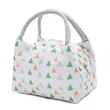 Insulated Lunch Bag With Handle For Work And Picnic In Stock | https://www.bestnamebadges.com