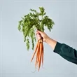 Modern Sprout® Garden Seed Pop | https://www.bestnamebadges.com