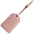 Customizable Airplane boarding Bass Checked Luggage Tags | https://www.bestnamebadges.com