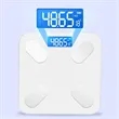 Digital Body Weight Scale With Temperature Sensor | https://www.bestnamebadges.com