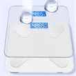 Digital Body Weight Scale With Temperature Sensor | https://www.bestnamebadges.com