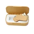 4GB Eco Friendly Wheat Straw USB Flash Drive Box Set | https://www.bestnamebadges.com