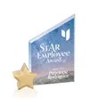 Cooper VividPrint™ Award -  Starfire/Gold Star | https://www.bestnamebadges.com