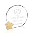 Verdunn Award - Starfire/Gold Star | https://www.bestnamebadges.com