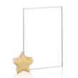 Bermuda Award - Starfire/Gold Star | https://www.bestnamebadges.com