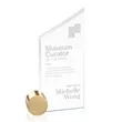 Cooper Award - Starfire/Gold Circle | https://www.bestnamebadges.com