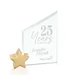 Cooper Award - Jade/Gold Star | https://www.bestnamebadges.com
