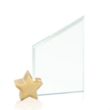 Cooper Award - Jade/Gold Star | https://www.bestnamebadges.com