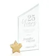 Cooper Award - Jade/Gold Star | https://www.bestnamebadges.com