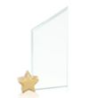 Cooper Award - Jade/Gold Star | https://www.bestnamebadges.com
