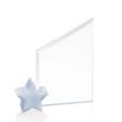 Cooper Award - Starfire/Silver Star | https://www.bestnamebadges.com