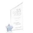 Cooper Award - Starfire/Silver Star | https://www.bestnamebadges.com