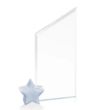 Cooper Award - Starfire/Silver Star | https://www.bestnamebadges.com