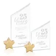 Cooper Award - Starfire/Gold Star | https://www.bestnamebadges.com